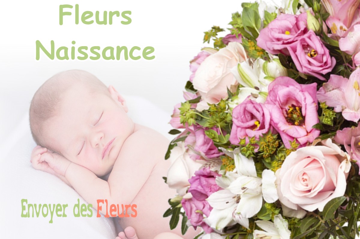 lIVRAISON FLEURS NAISSANCE à LA-BALME-D-EPY